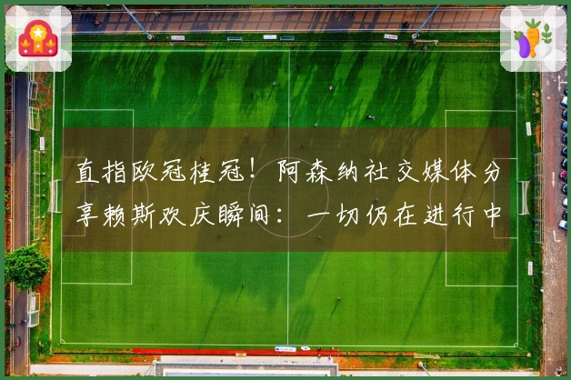 直指欧冠桂冠！阿森纳社交媒体分享赖斯欢庆瞬间：一切仍在进行中